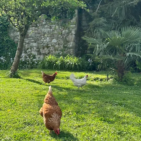 B&B Antico Fienile-2
