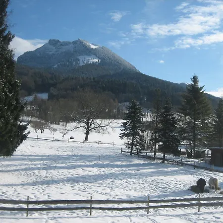 Sonnenkaiser-2