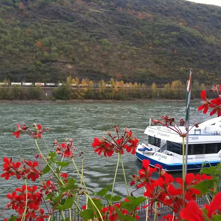 Hotel Rheinlust-3