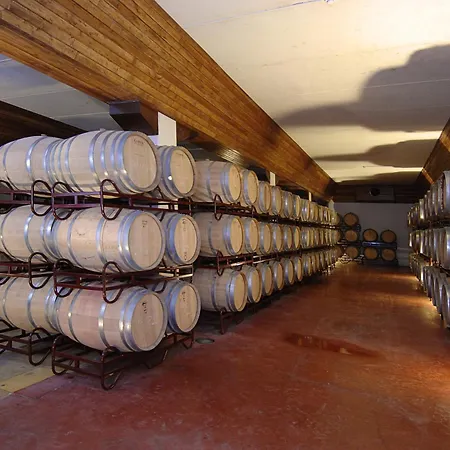 Vila Gale Alentejo Vineyard - Clube De Campo-3