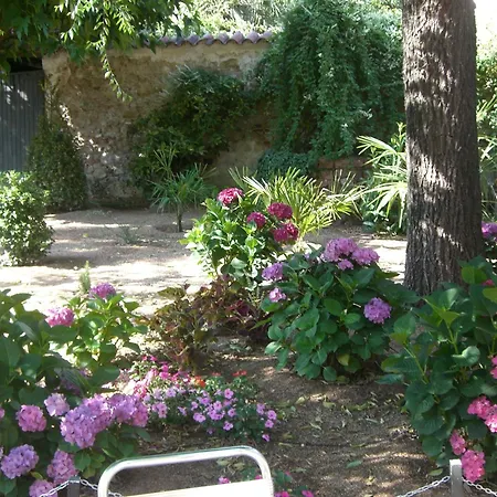 Hotel Torres-2