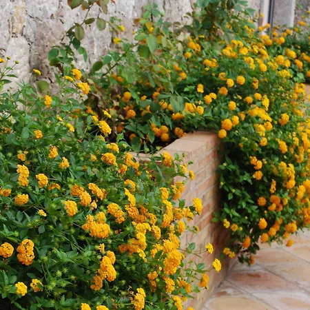 Villa Angela-2