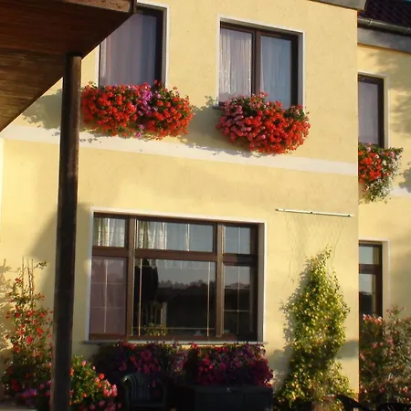 Elbterrassen zu Brambach-3