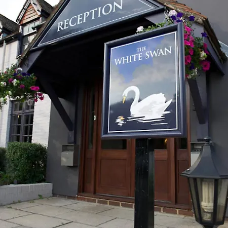 The White Swan-3