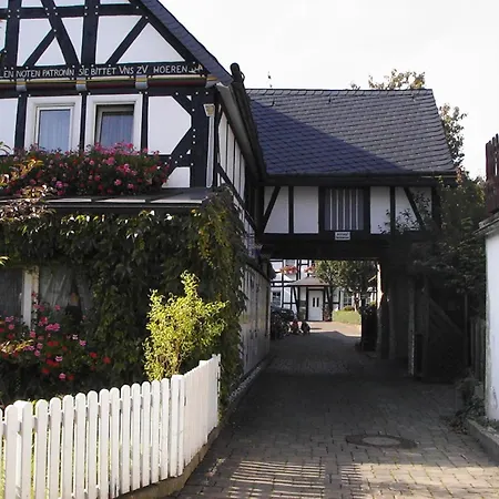 Sonneneck-2