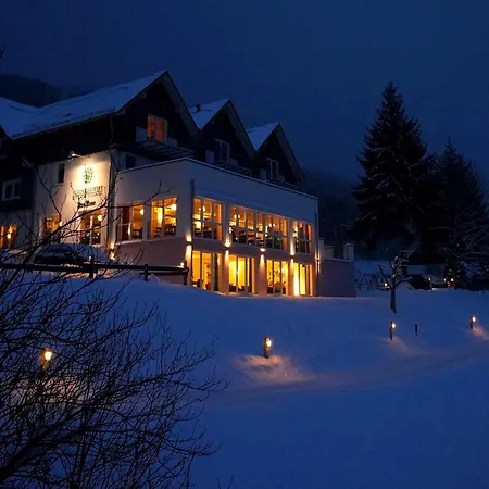 Waldhotel Schinkenwirt-2