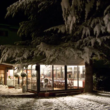 Aero Hotel Cerdanya Ca L'Eudald-3