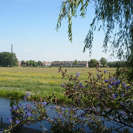 B&B-Edam-3