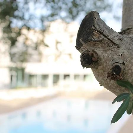 Pietre Nere Resort & Spa-3