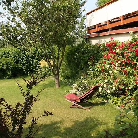 Pension Villa Beer-3