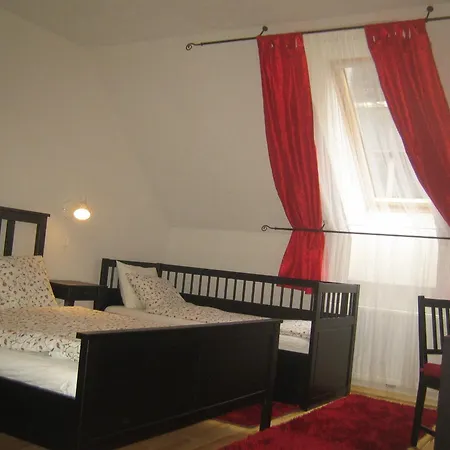 Guesthouse Stari Tisler-3