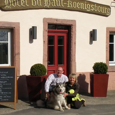 Hôtel du Haut Koenigsbourg - calme et nature-2