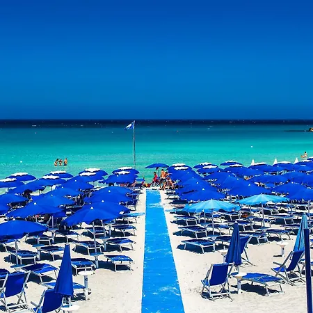 Araba Fenice Village-2
