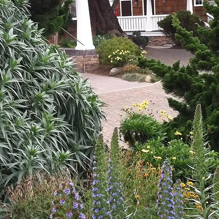 Lighthouse Lodge & Cottages-2