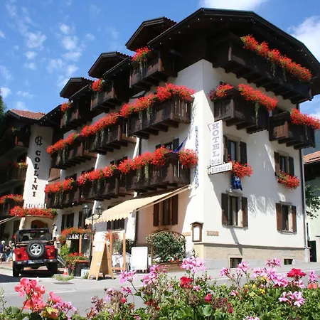 Hotel Collini-3