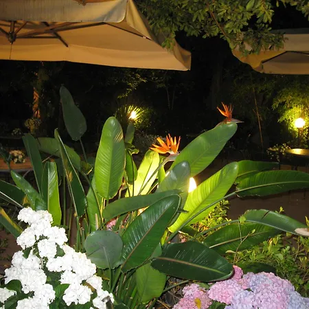 Hotel Miramare-3