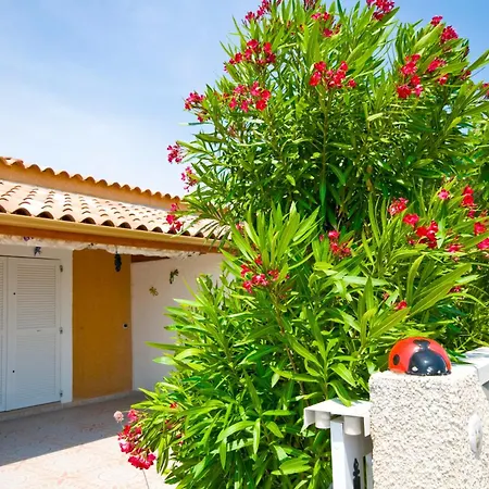 HOLIDAYLAND BAIE DES OLIVIERS VILLA 36m2 1chambre fermée 6 couchages ou VILLA 41M2 2chambres fermées 7 couchages-3