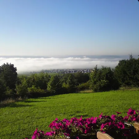 Zum Rebhang Bed&Breakfast-2