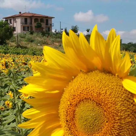 B&B Il Girasole - Rooms & House In Country - Air Conditioned - 1500 Meters From Historic Center-2