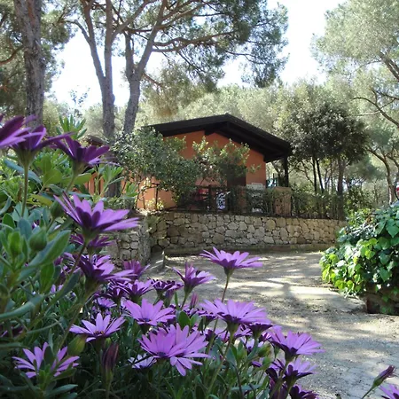 Camping Lacona Pineta-2