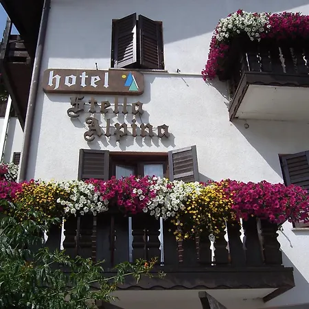 Hotel Stella Alpina-3