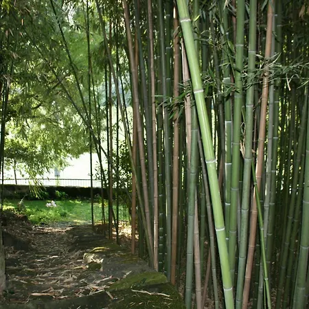 Quinta Da Ermida - Turismo De Habitacao-3