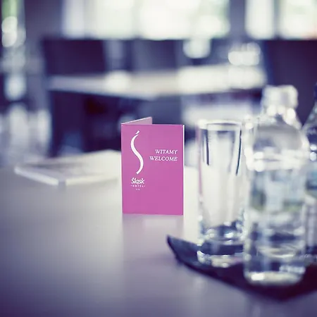 Hotel Slask-2