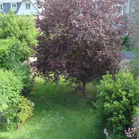 B&B Maison Angélus-3