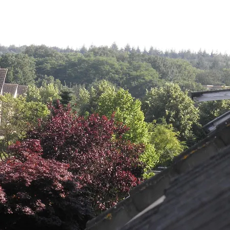 Teska Bed & Breakfast-2
