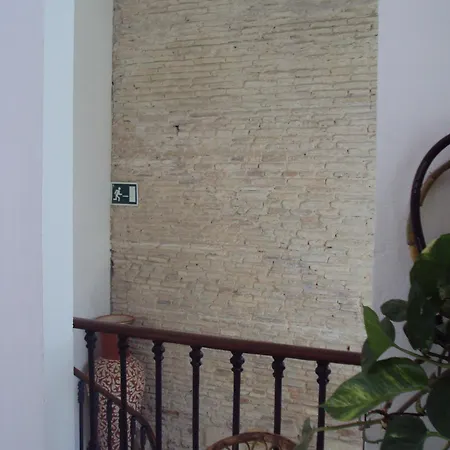 Hostal Fenix-2