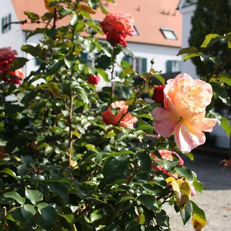 Hotel Gasthaus Wangerhof-3
