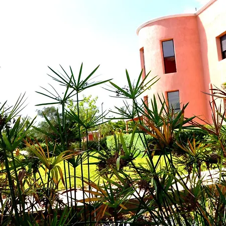 Riad Hamdani-3