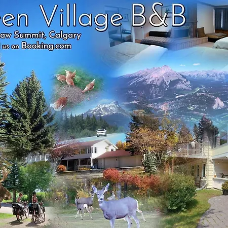 Green Village-3