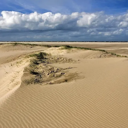 Ara Dune Hotel-3