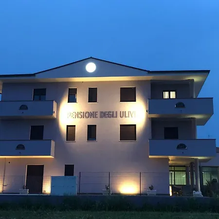 Pensione degli Ulivi-2