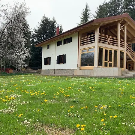 LorichiAmo B&b-2