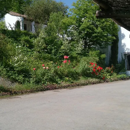Finca Valbono Apartamentos Rurales y Hotel-2