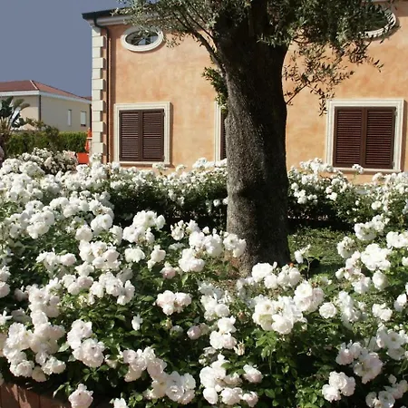 Residence Baia Infreschi-2
