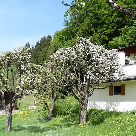 Gasthaus - Pension - Café Dörfl-2