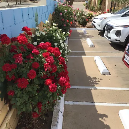 Americas Best Value Inn And Suites -Yucca Valley-2