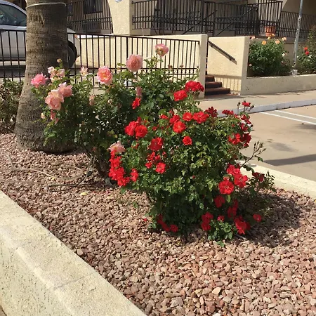 Americas Best Value Inn And Suites -Yucca Valley-3