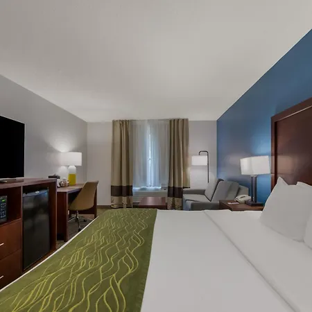 Comfort Inn Newport News - Hampton I-64-2