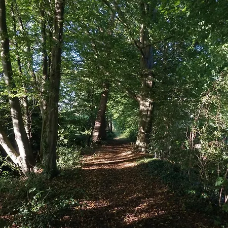 B&B aan het bos-2