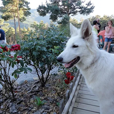 Parc Résidentiel de Loisir : Le Loup Blanc du Riou-3