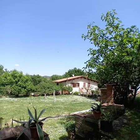 Boscodisotto-2