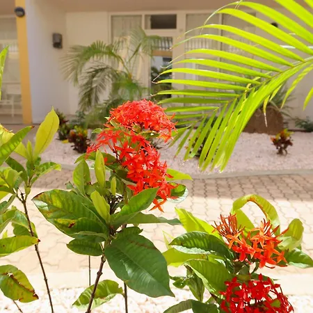 Montana Eco Resort Aruba-3