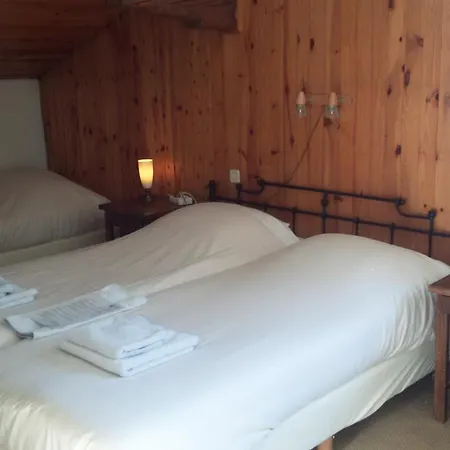 Hotel Le Genepy-3