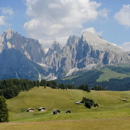 Naturresidence Dolomitenhof-3
