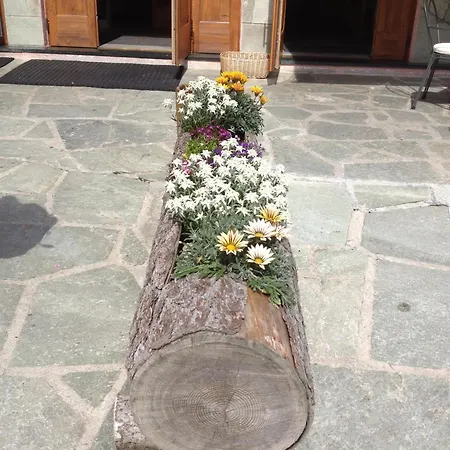 Albergo Soldanella-2