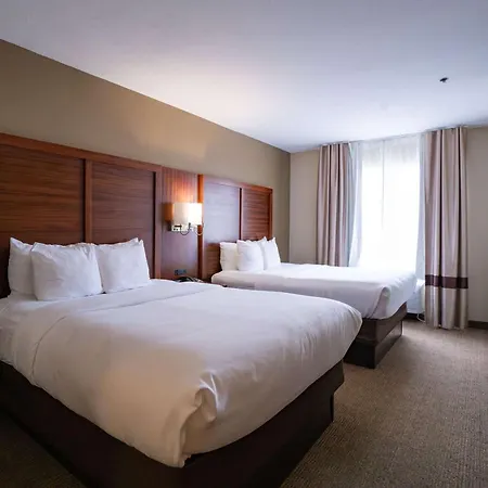 Comfort Suites Flowood - Jackson Airport-3